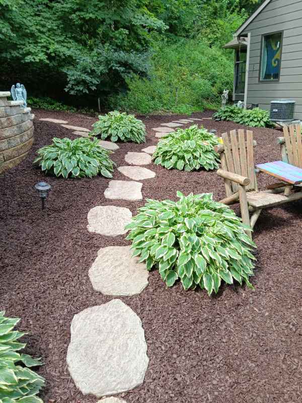 Garden path with stone steps and green plants.