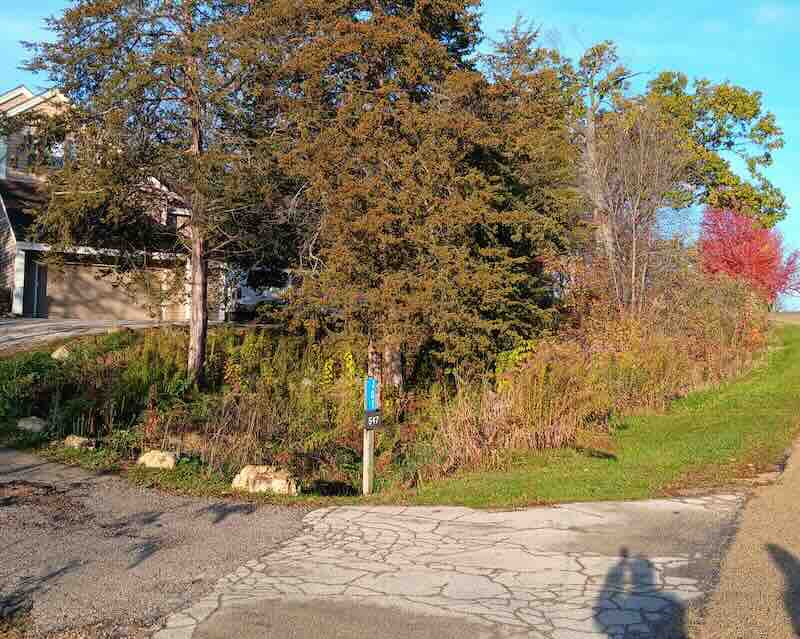 House near trees and driveway with shadows.