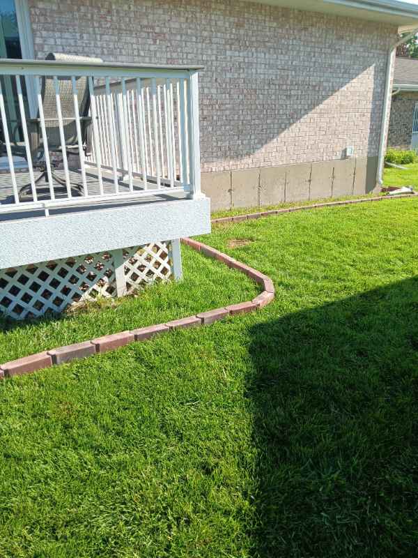 Backyard patio with green grass and brick edging.