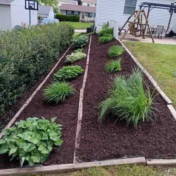 Backyard garden with mulch, plants, and swing set.