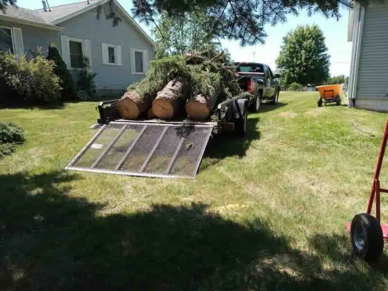 Truck and trailer with large tree trunks loaded.